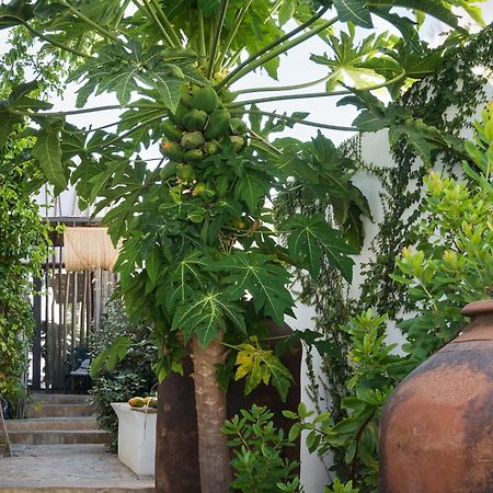 Altanure Almatere - Food Forest Boutique Stay Tavira Bagian luar foto