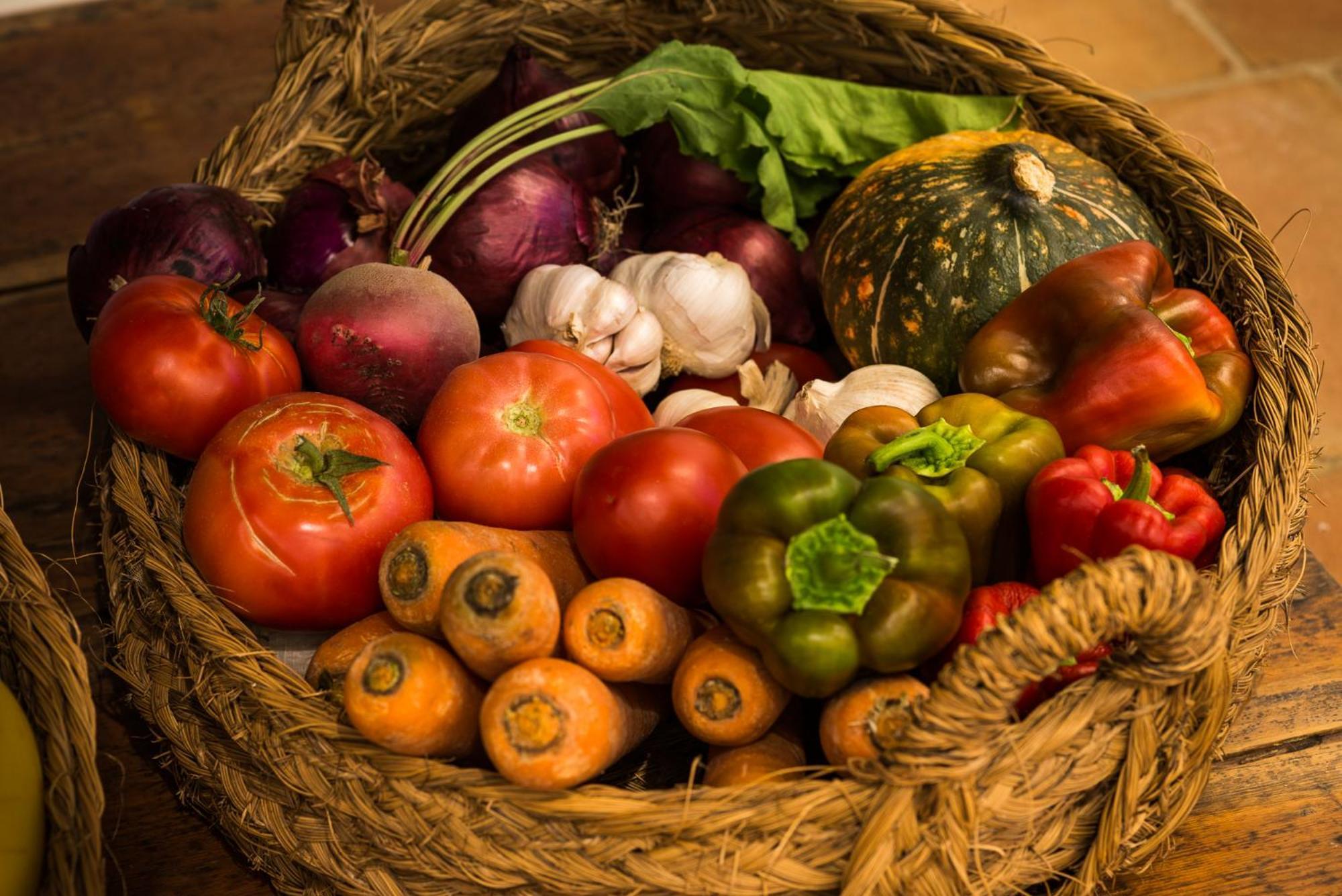Altanure Almatere - Food Forest Boutique Stay Tavira Bagian luar foto