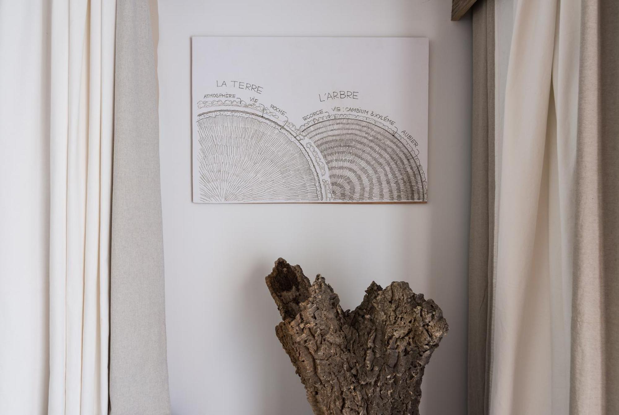 Altanure Almatere - Food Forest Boutique Stay Tavira Bagian luar foto