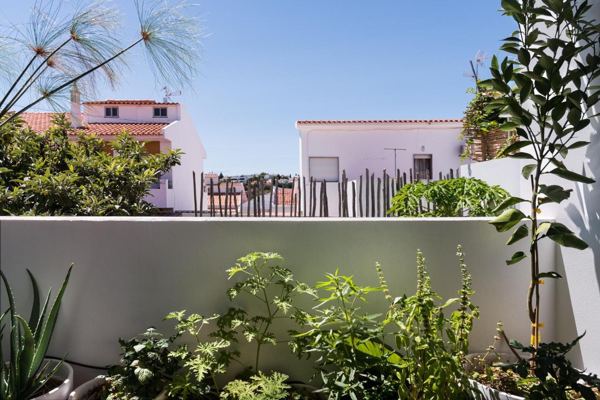 Altanure Almatere - Food Forest Boutique Stay Tavira Bagian luar foto